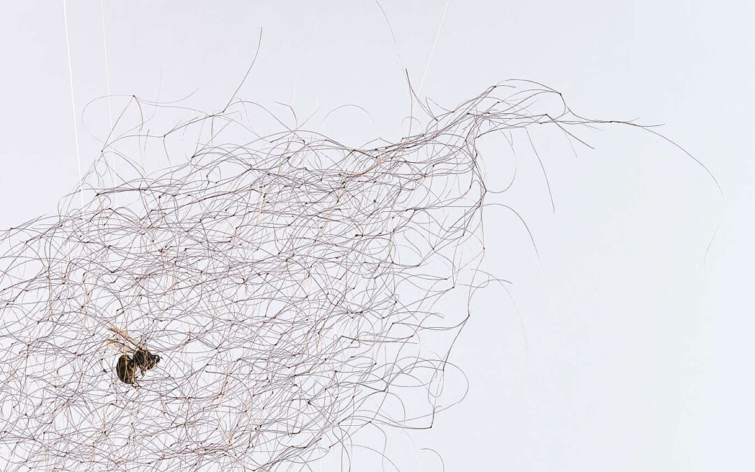 Claire MorganCHOKE14. – 21. Juni 2026